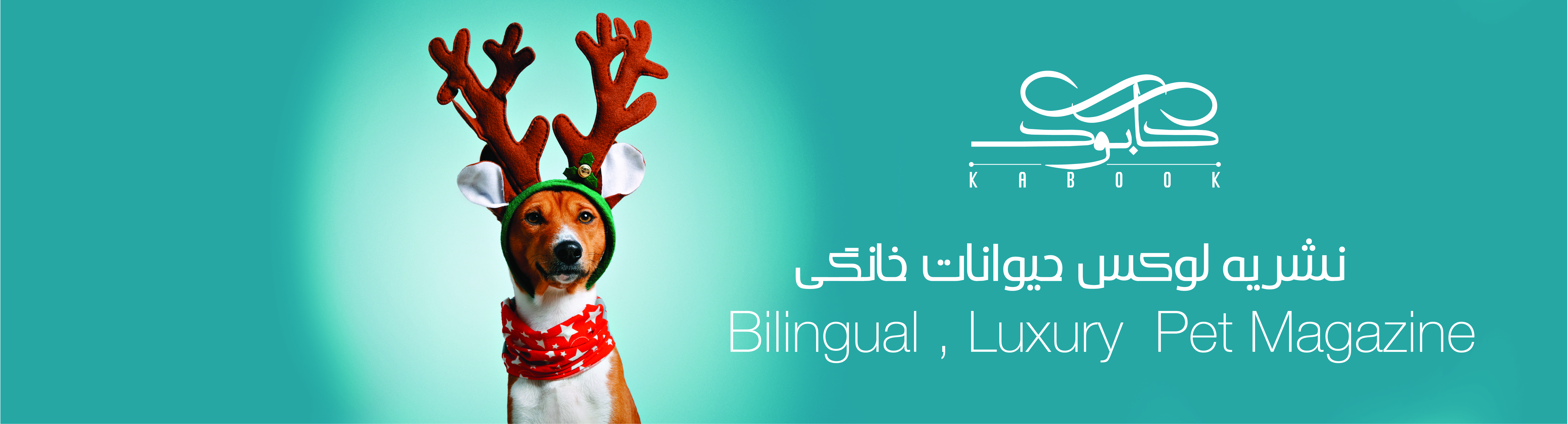 بنر 1