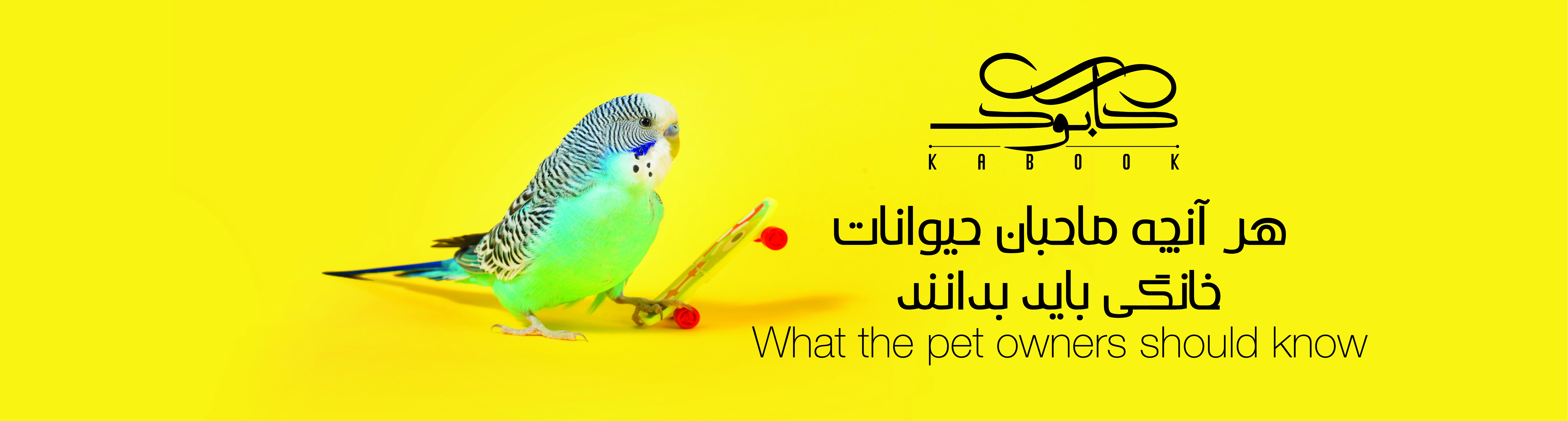 بنر 3