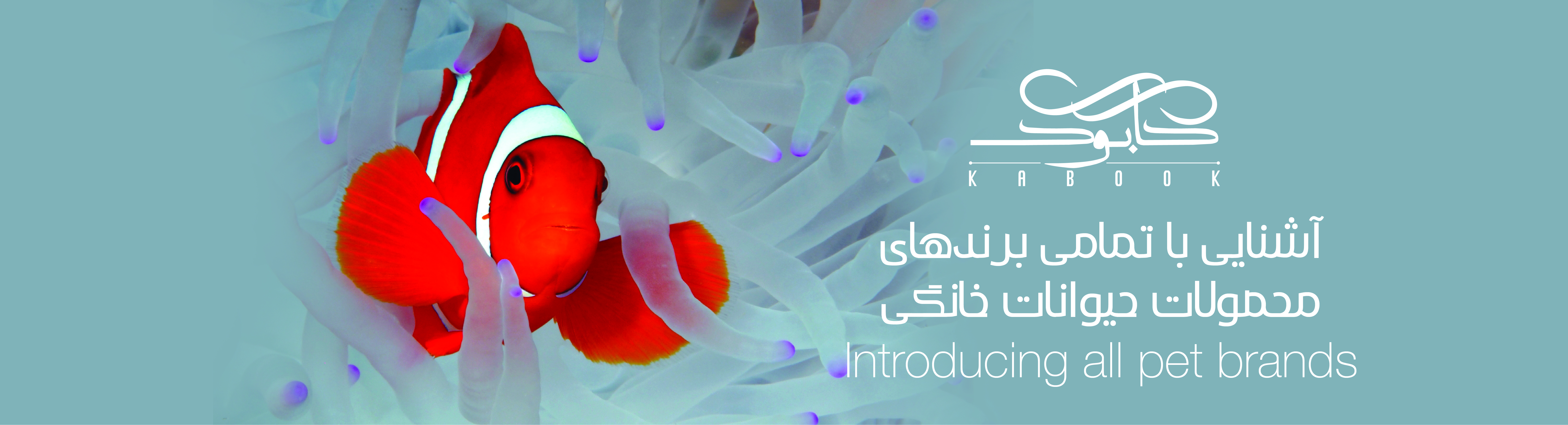 بنر 5