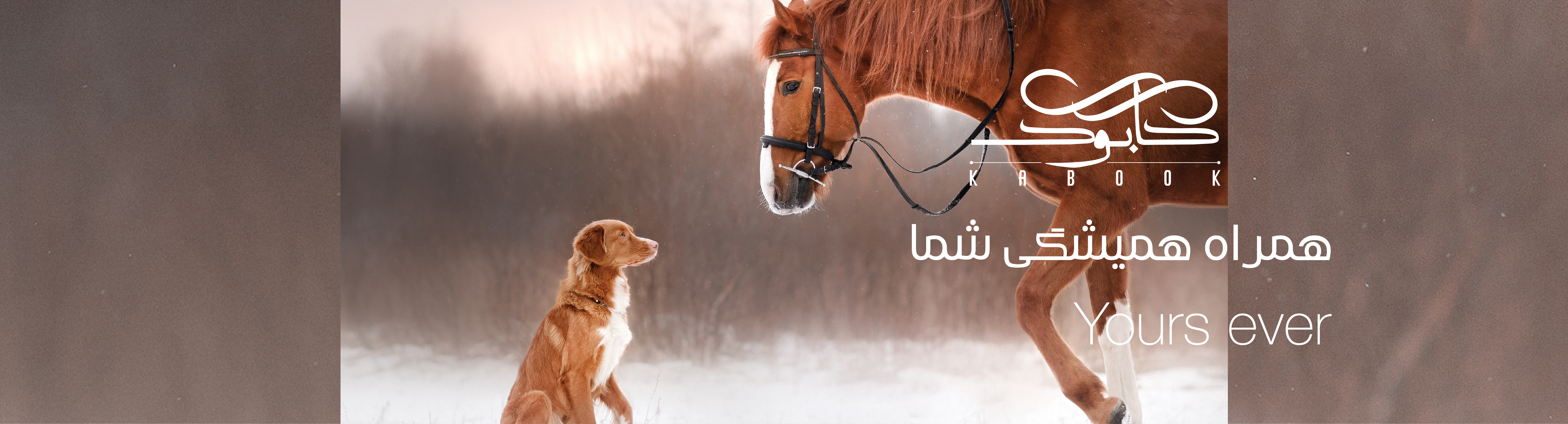 بنر 6