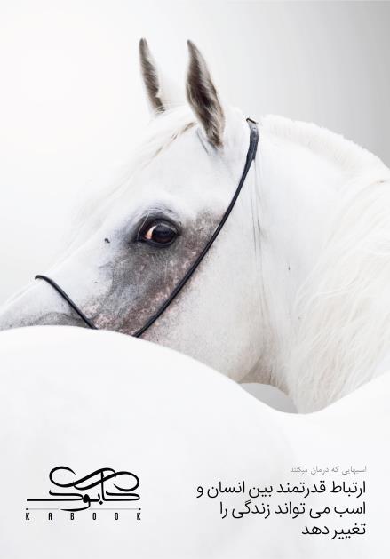 Horses That Heal