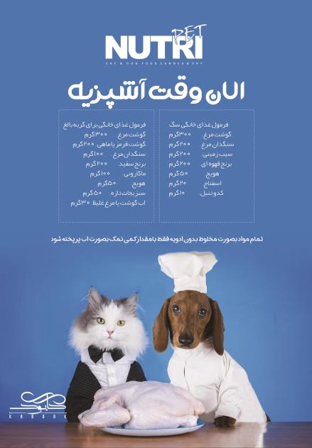 الان وقت آشپزیه