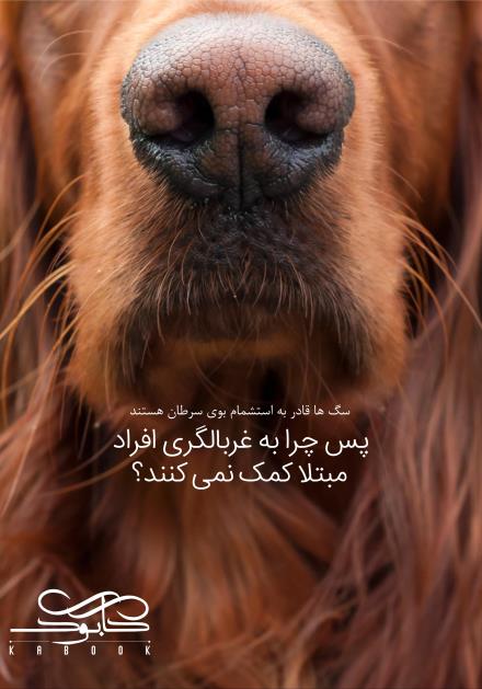 اگر سگ ها قادر به استشمام بوی سرطان هستند،  پس چرا به غربالگری افراد کمک نمی کنند؟